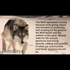 Meet your Posher, J ignacio